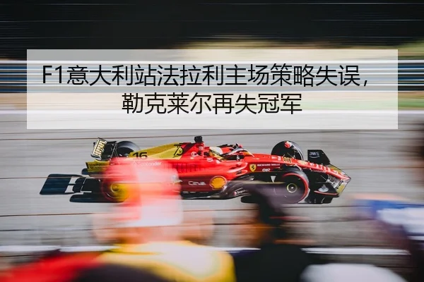 yi-da-li-zhan-fa-la-li-zhu-chang-ce-lve-shi-wu-lei-ke-lai-er-zai-shi-guan-jun-2-501.jpg