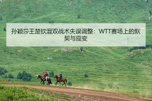 孙颖莎王楚钦混双战术失误调整：WTT赛场上的默契与应变