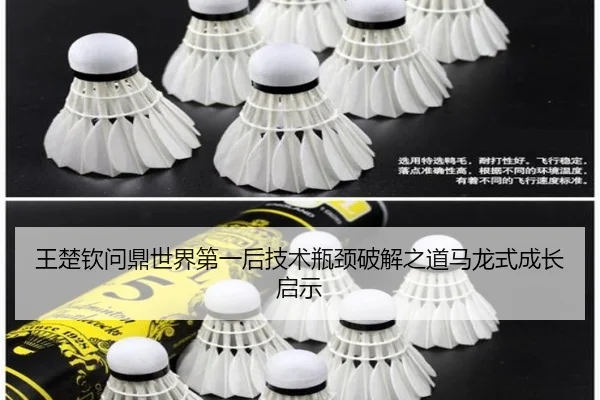 王楚钦问鼎世界第一后技术瓶颈破解之道马龙式成长启示